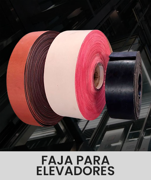 Descripción de la imagen